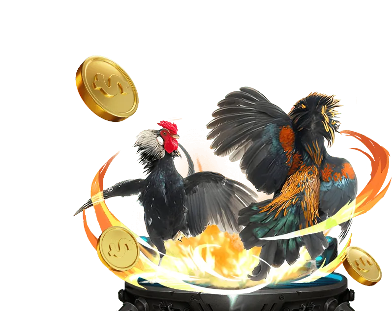 Đa dạng trận đấu và kèo cược đá gà